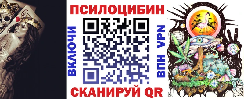 дарнет шоп  Лесной  Псилоцибиновые грибы мицелий 