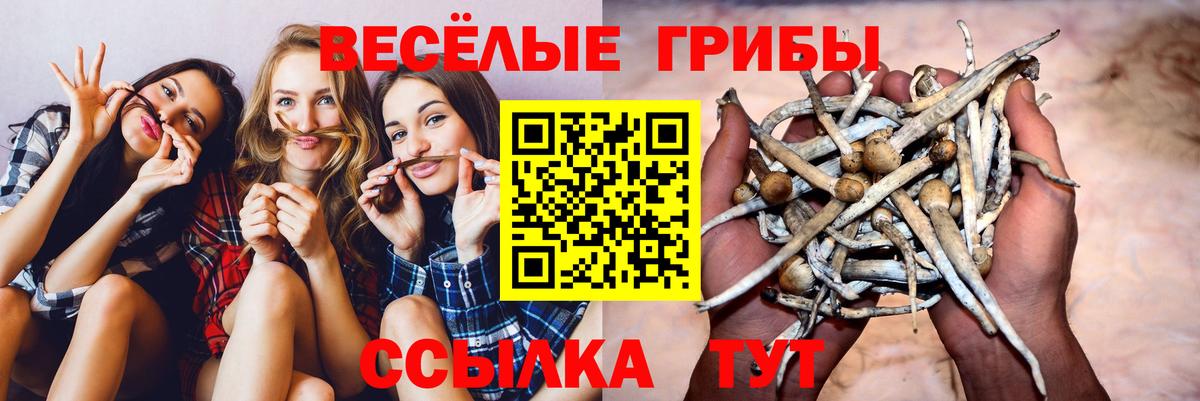 Псилоцибиновые грибы ЛСД Лесной