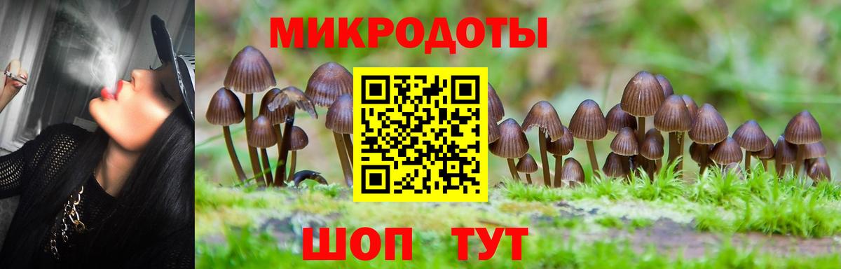 Псилоцибиновые грибы ЛСД  Вход с VPN  Лесной 
